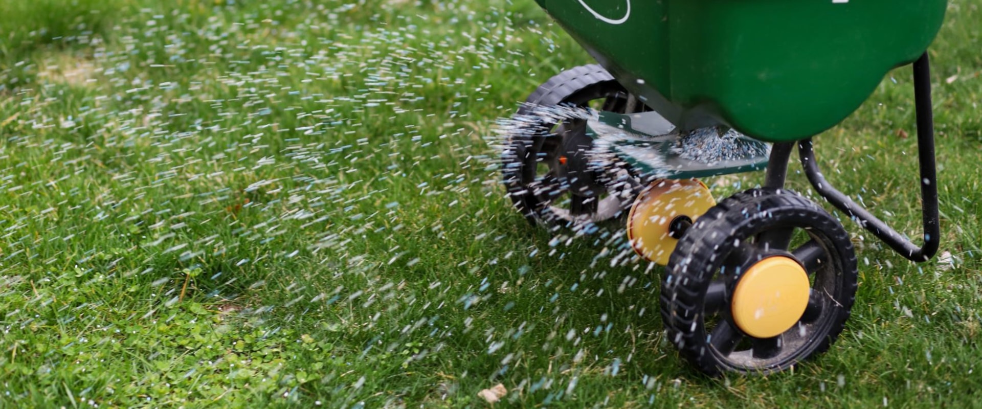 The Importance of Fertilization and Weed Control in Lawn Care Services