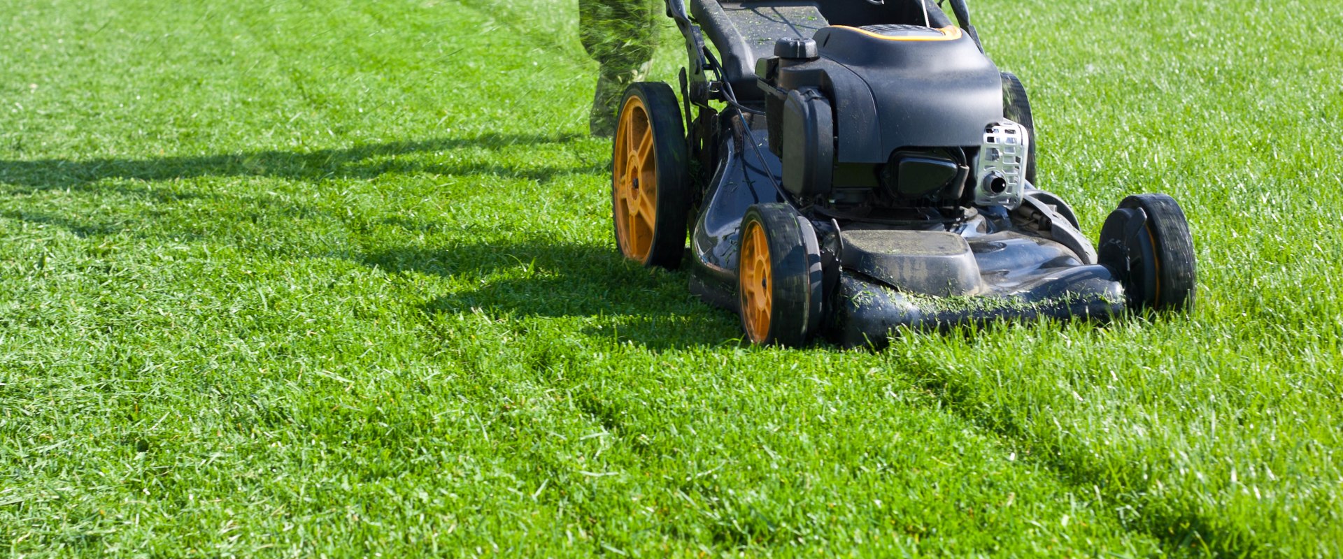 The Importance of Regular Lawn Care Services: How Often Should You Mow Your Lawn?