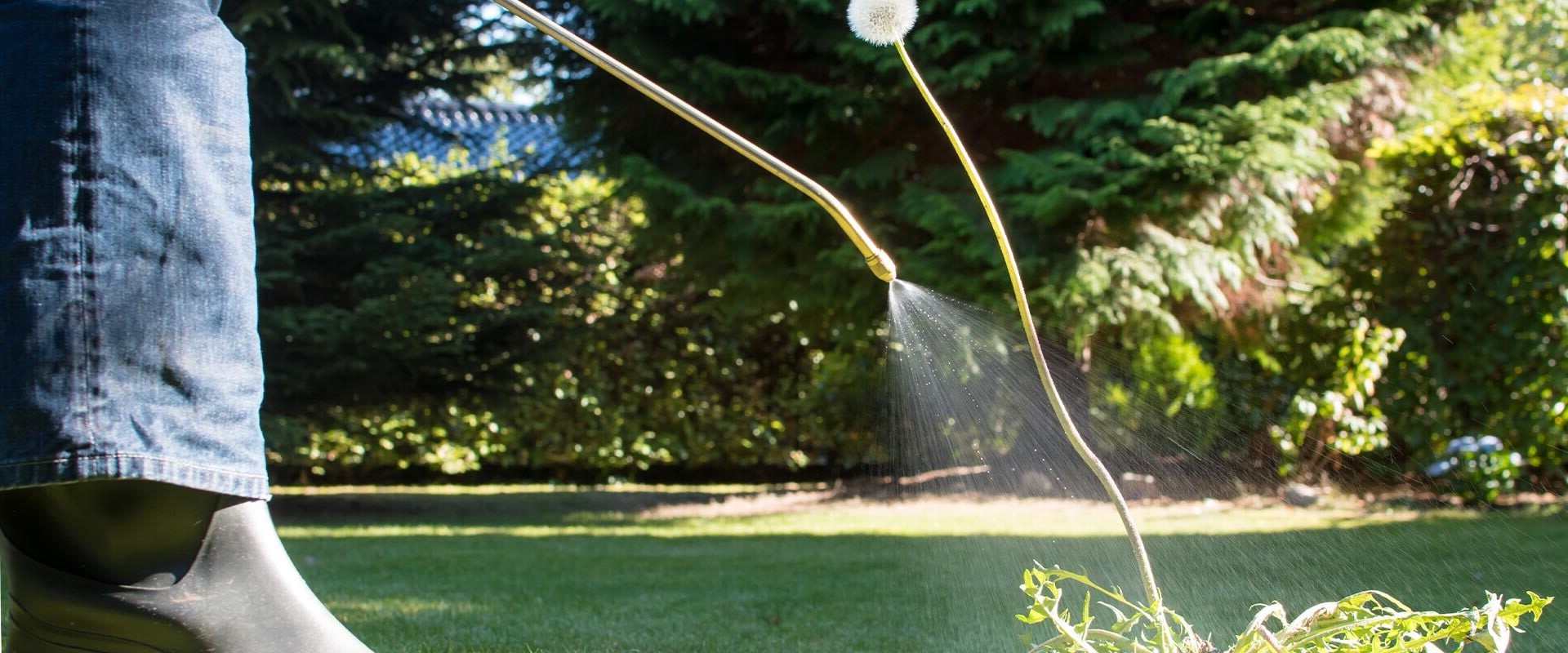 The Ultimate Guide to Requesting a Quote from a Lawn Care Service