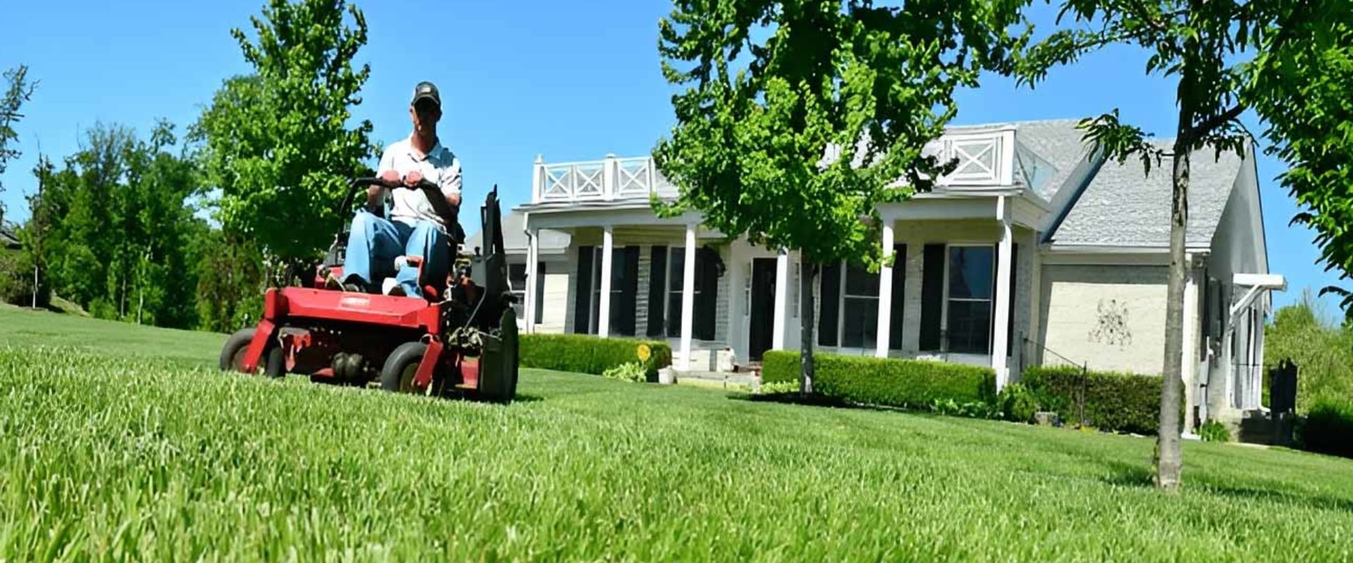 Maintaining a Lush Lawn: Tips for In-Between Professional Lawn Care Services