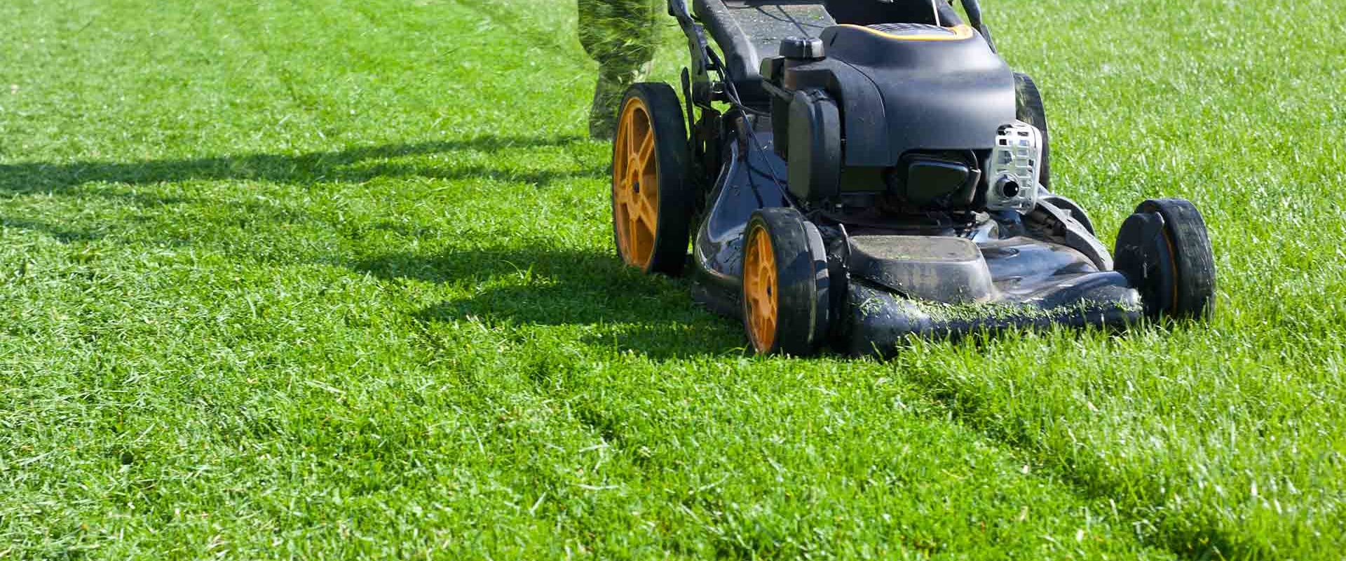 The Average Cost for Lawn Care Services: What You Need to Know