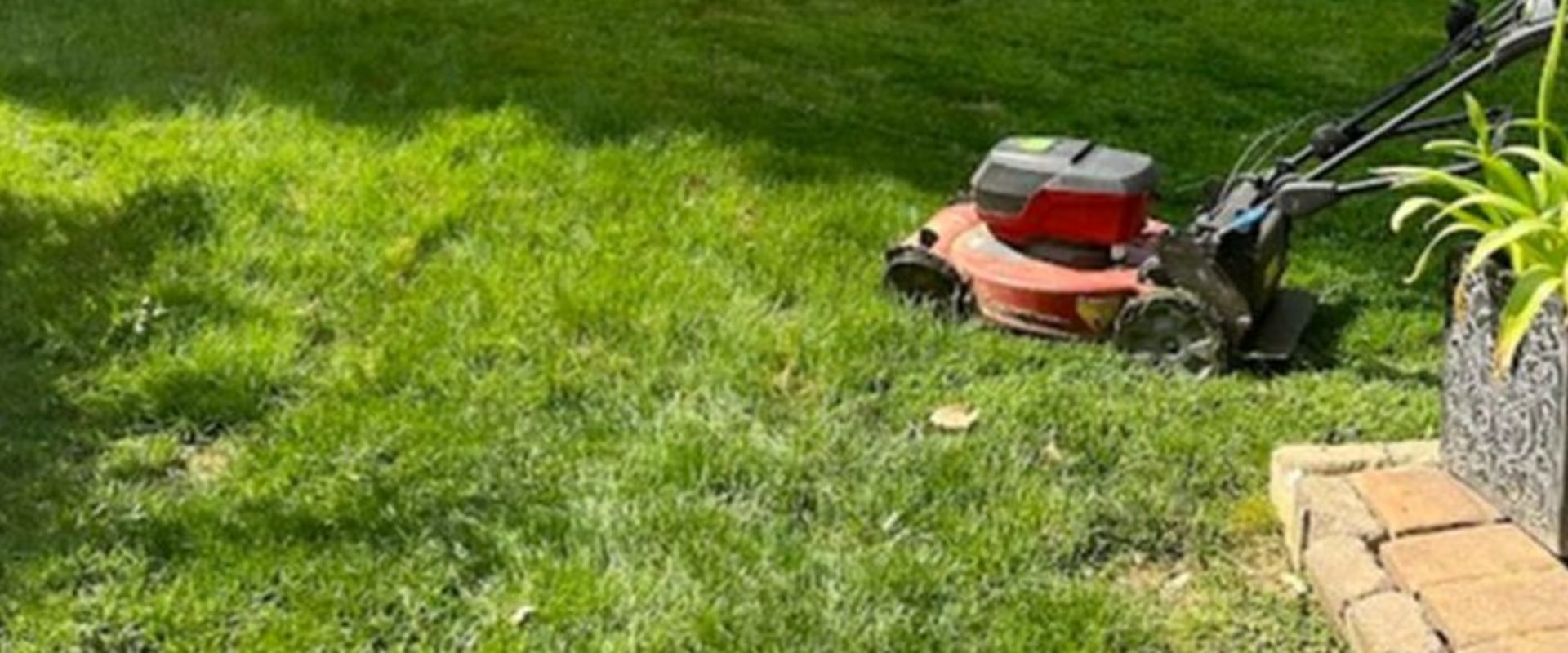 Eco-Friendly Lawn Care Services: A Sustainable Solution for a Greener Lawn