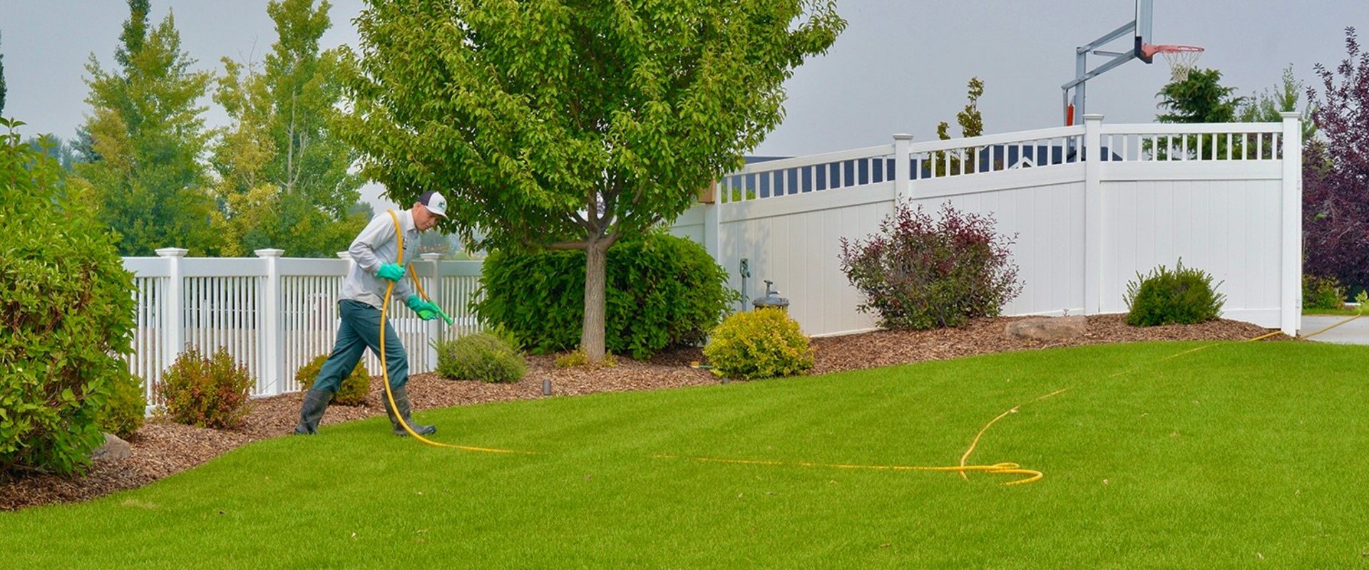 The Truth About Lawn Care Services and Landscaping