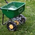 The Importance of Fertilization and Weed Control in Lawn Care Services