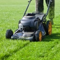 The Importance of Regular Lawn Care Services: How Often Should You Mow Your Lawn?