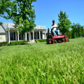 Maintaining a Lush Lawn: Tips for In-Between Professional Lawn Care Services