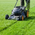 The Average Cost for Lawn Care Services: What You Need to Know