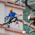 Why Orlando, FL Homeowners Need Both Tree Service And Lawn Care Services For A Perfect Landscape