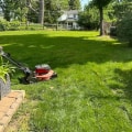 Eco-Friendly Lawn Care Services: A Sustainable Solution for a Greener Lawn