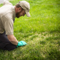 Understanding the Cancellation Policy for Lawn Care Services