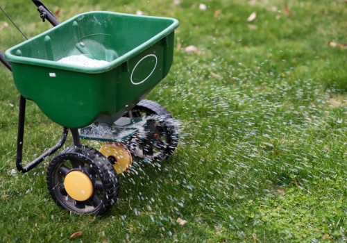 The Importance of Fertilization and Weed Control in Lawn Care Services