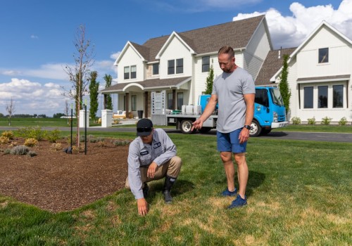 The Ins and Outs of Lawn Care Services: How Long Does It Take to Complete?