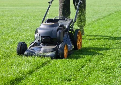 The Importance of Regular Lawn Care Services: How Often Should You Mow Your Lawn?