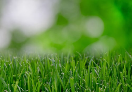 The Benefits of Hiring a Professional Lawn Care Service