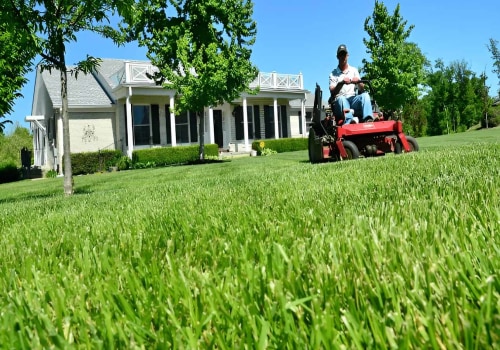 Maintaining a Lush Lawn: Tips for In-Between Professional Lawn Care Services