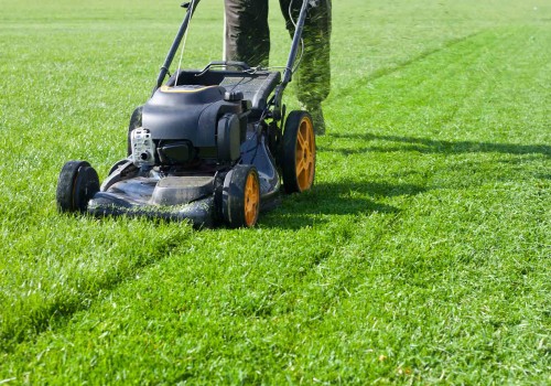 The Average Cost for Lawn Care Services: What You Need to Know