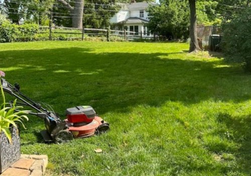 Eco-Friendly Lawn Care Services: A Sustainable Solution for a Greener Lawn