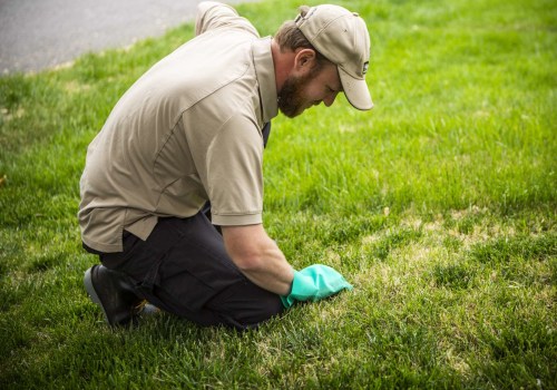 Understanding the Cancellation Policy for Lawn Care Services